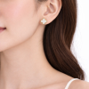 Gold Clover Stud Earrings