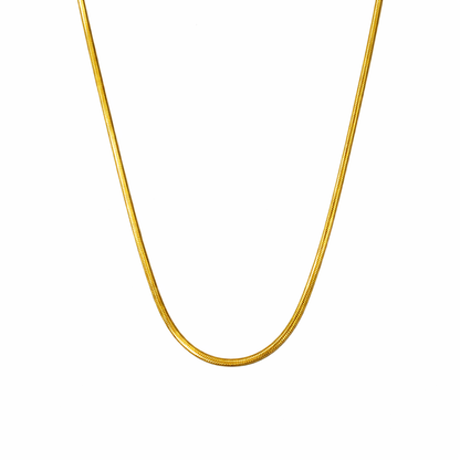 Gold chain necklace on a white background