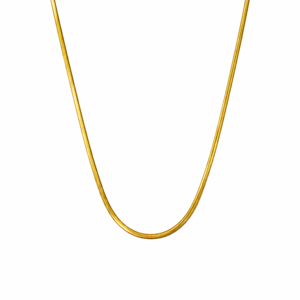 Elegant Gold Snake Chain Necklace